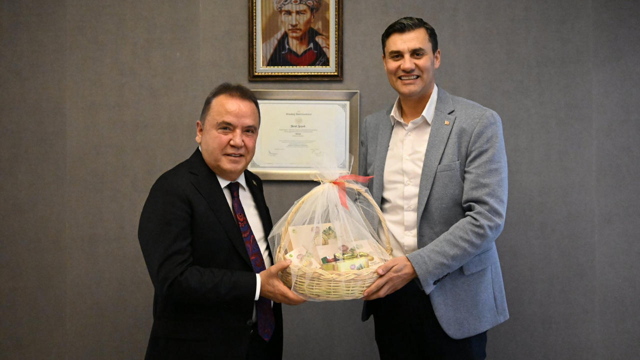 Zeyrek Ve Böcek