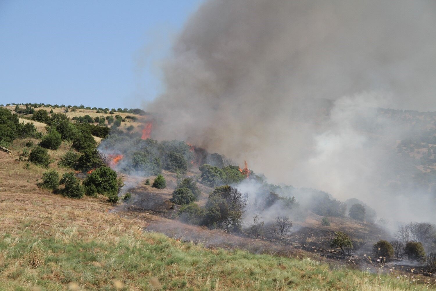 28 Yangını Büyümeden Durdurdu (2)