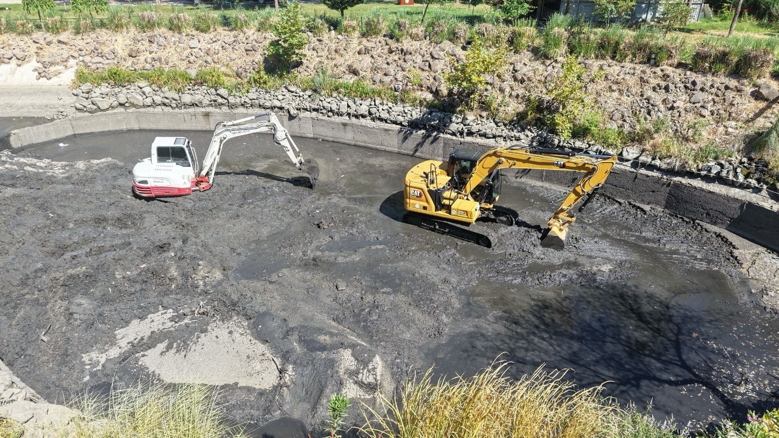 Kent Park'ta kötü koku ve sineğe karşı seferberlik