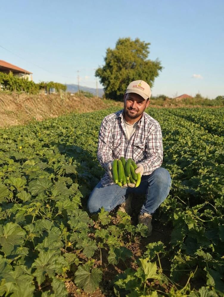 Sarıgöl'de doğal yöntemlerle yetişiyor: Kilosu 50 TL'den tezgahta!