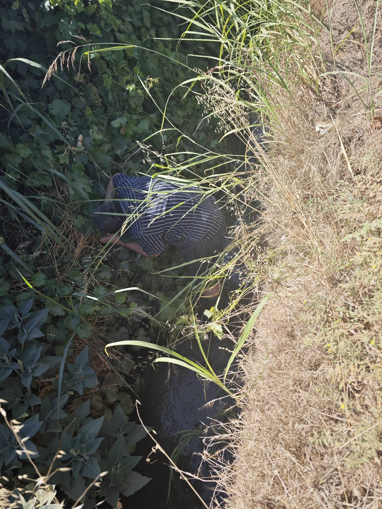 Bağ Uyarı Foto (2)