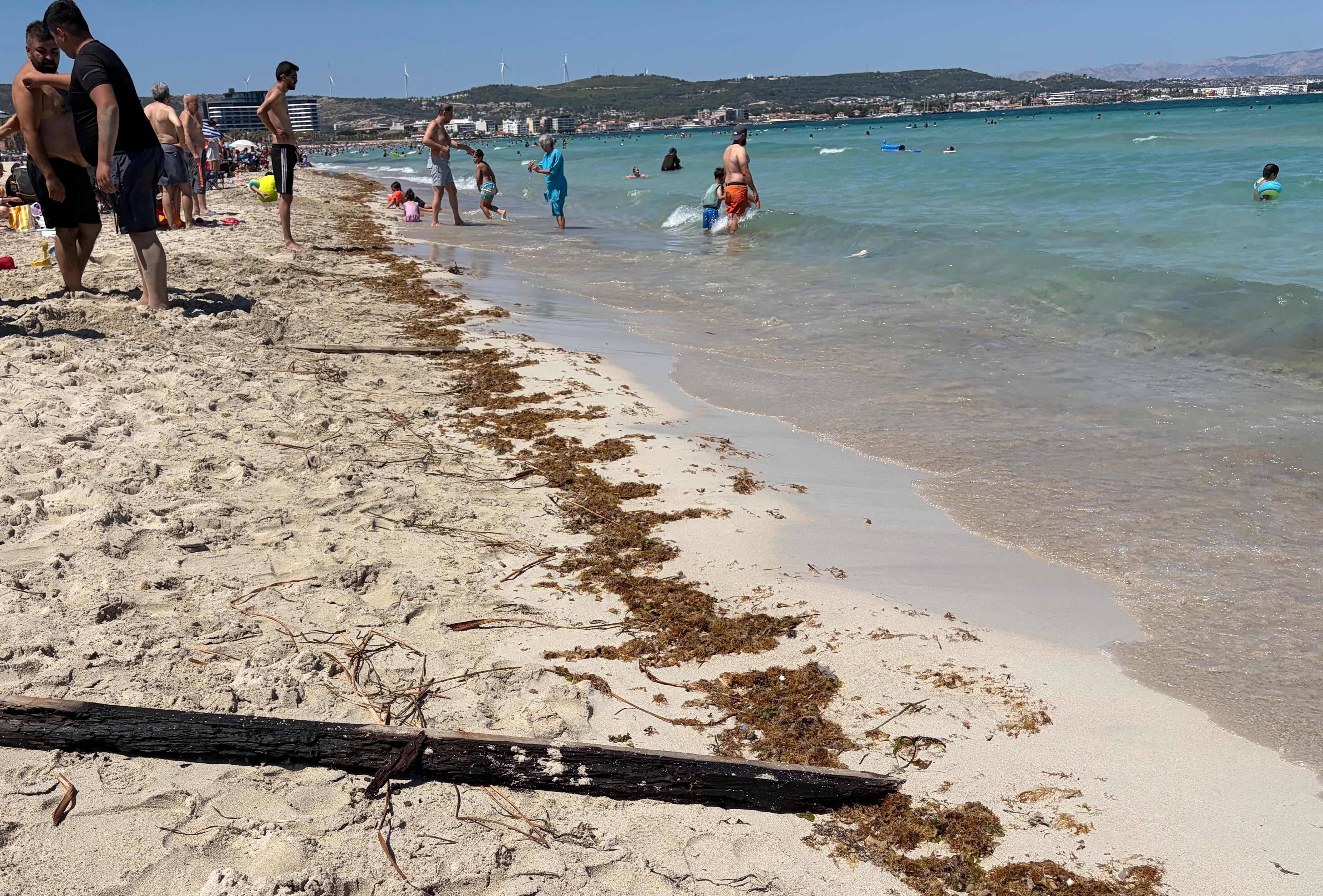 Çeşme Sahillerindeki Kirlilik (4)