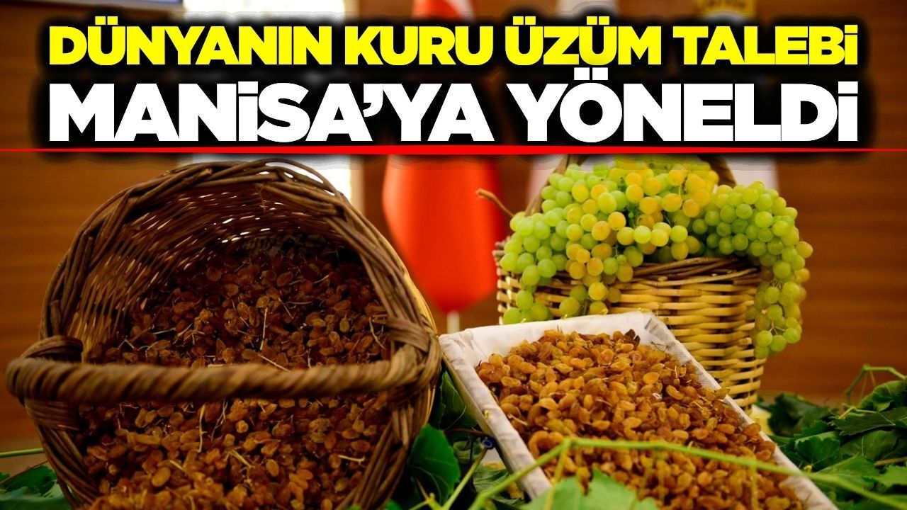 Manisa’dan dünya sofralarına milyon dolarlık lezzet: Kuru üzüm ihracatı zirvede