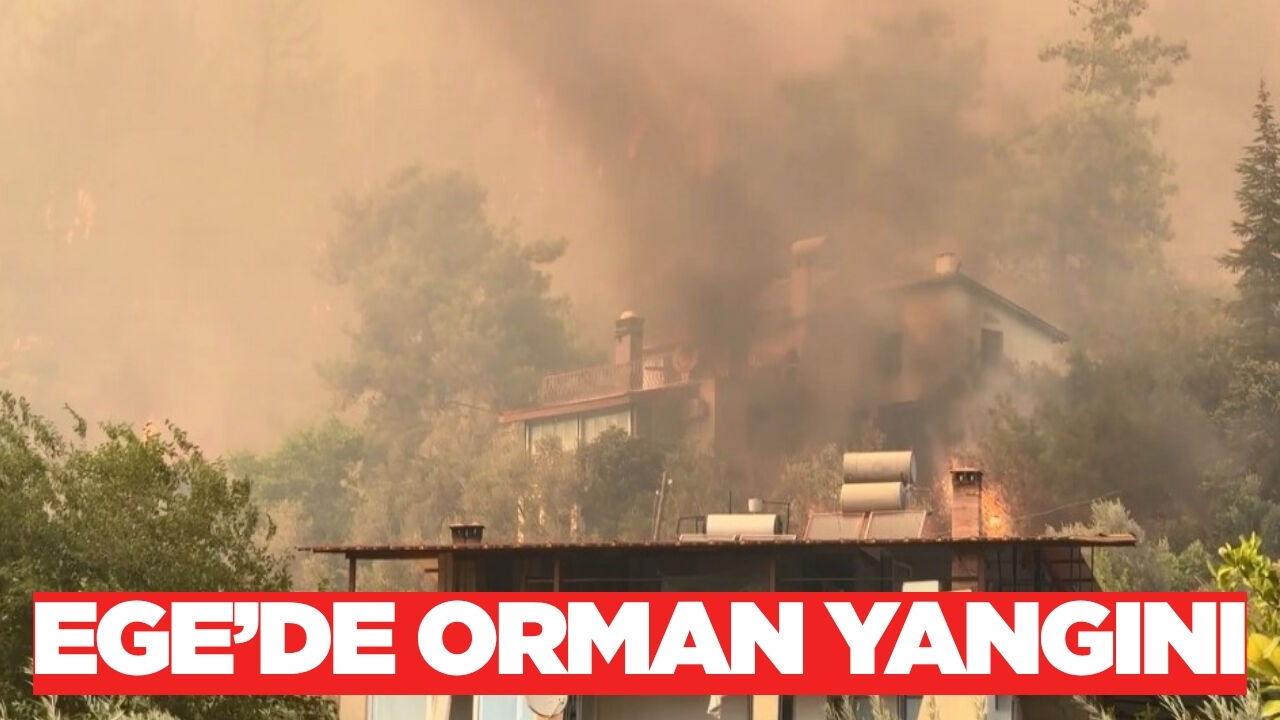 Ege'de orman yangını: Müdahale devam ediyor
