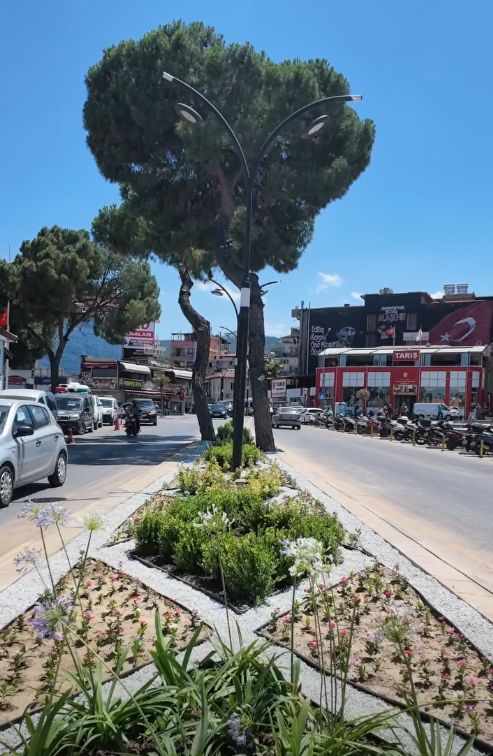Alaşehir’de Yeşil Seferberlik: Ekipler Dört Bir Yanda Çalışıyor