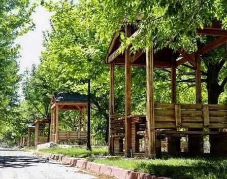 Images-7