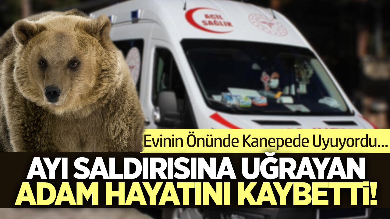İzmir'de korkunç olay: Ayı saldırısı can aldı!