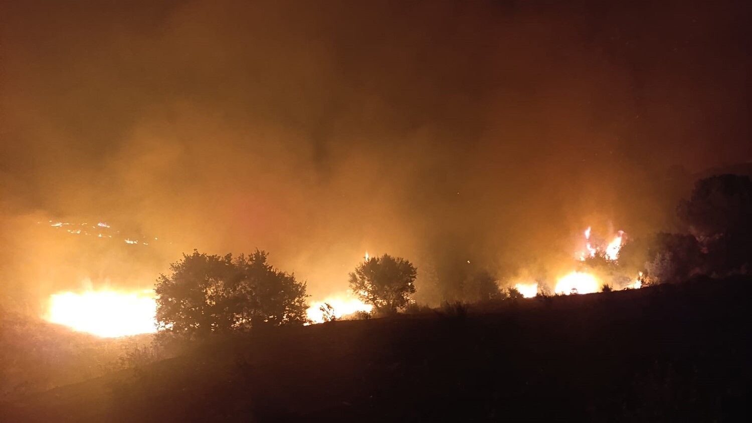 Kula'da Makilik Alanda Yangın (6)