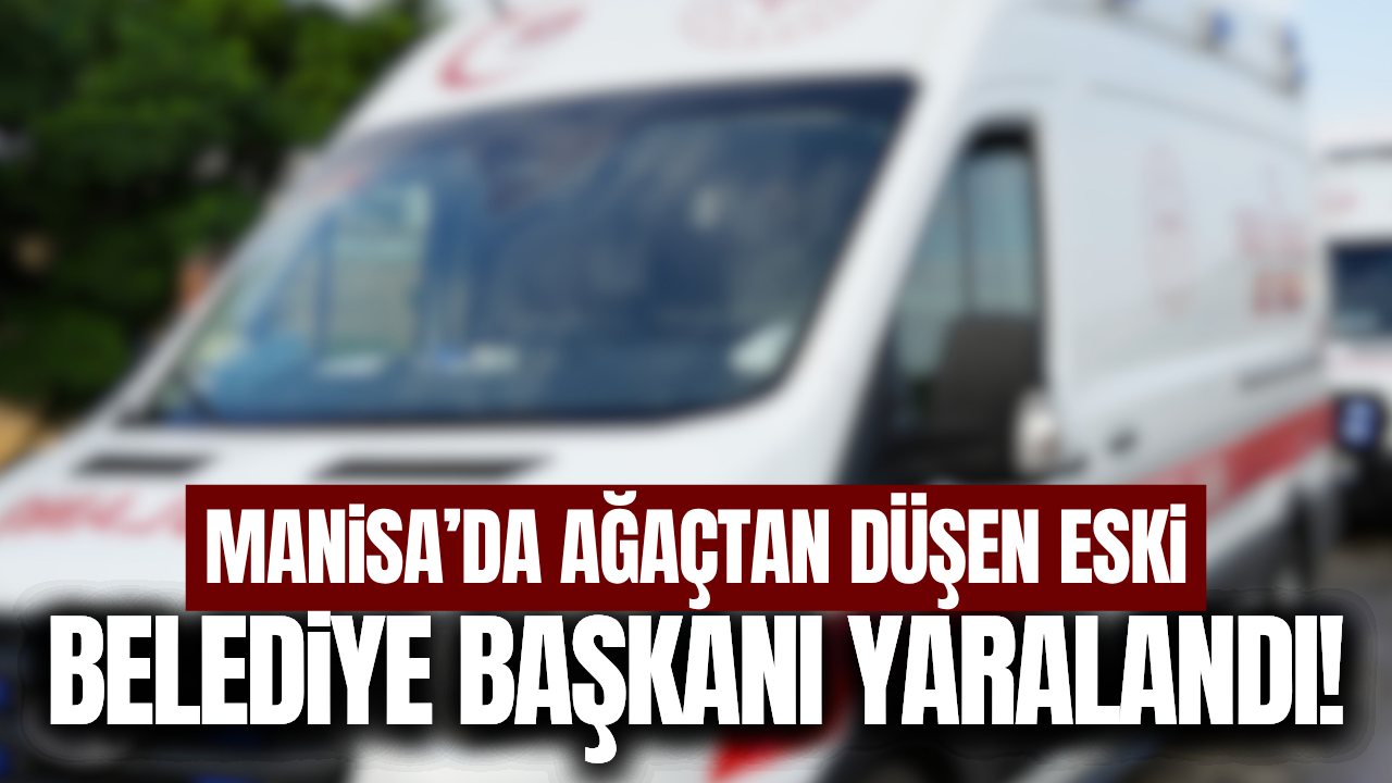 Manisa'da ağaçtan düşen eski belediye başkanı yaralandı!
