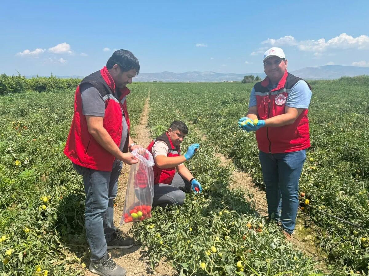 Manisa'da Gıda Güvenilirliğinin Sağlanmasına Yönelik Denetim (1)