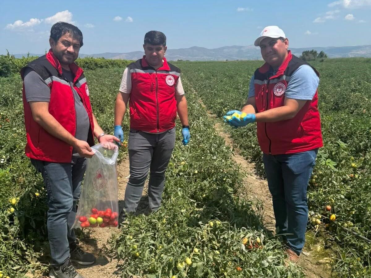 Manisa'da Gıda Güvenilirliğinin Sağlanmasına Yönelik Denetim (2)