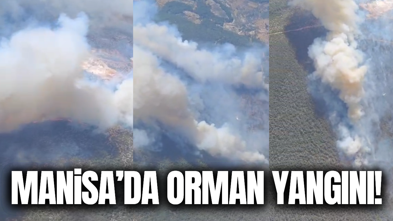 Manisa'da orman yangını: Havadan ve karadan müdahale ediliyor!
