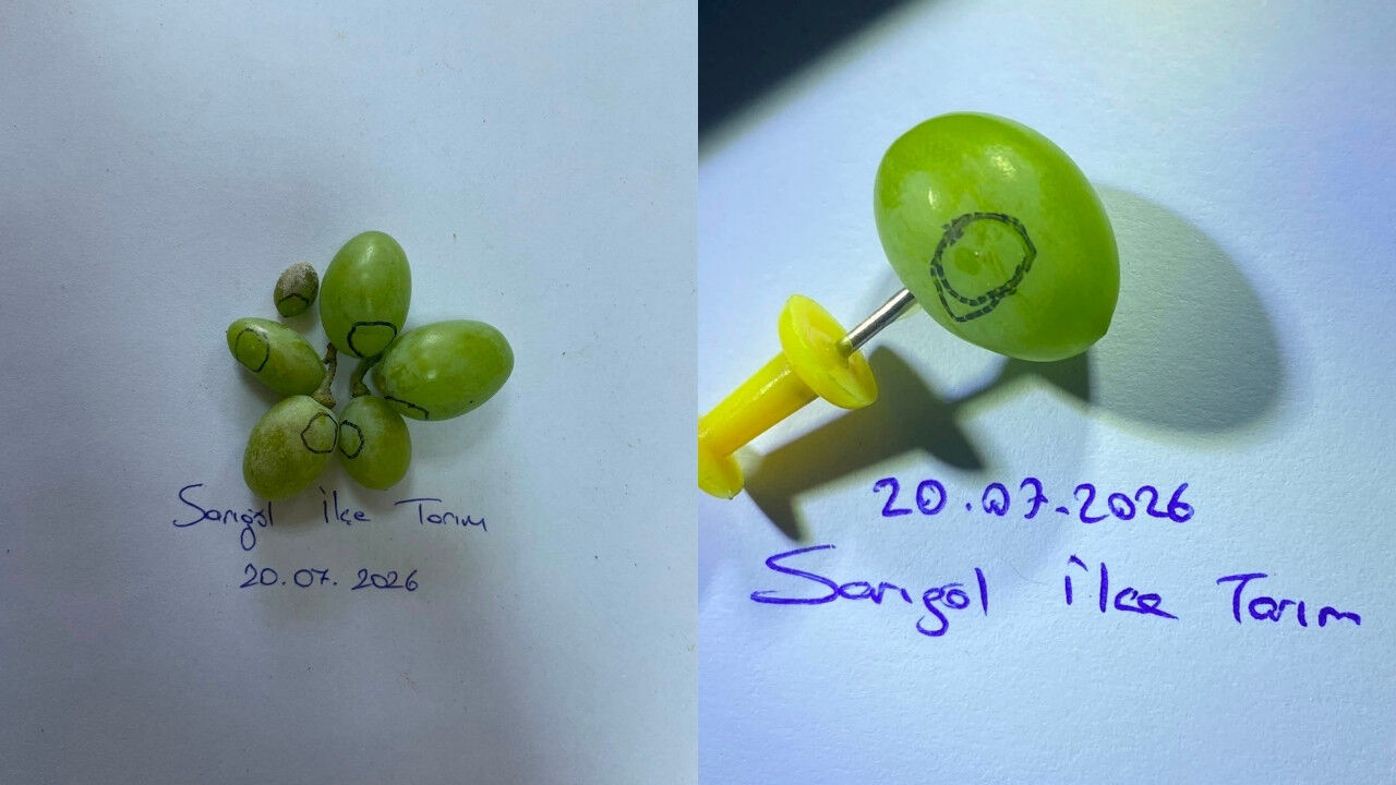Sarıgöl'de Bağcılara Uyarı Yapıldı! Şimdi De 3. Nesil Geliyor .1 (1)