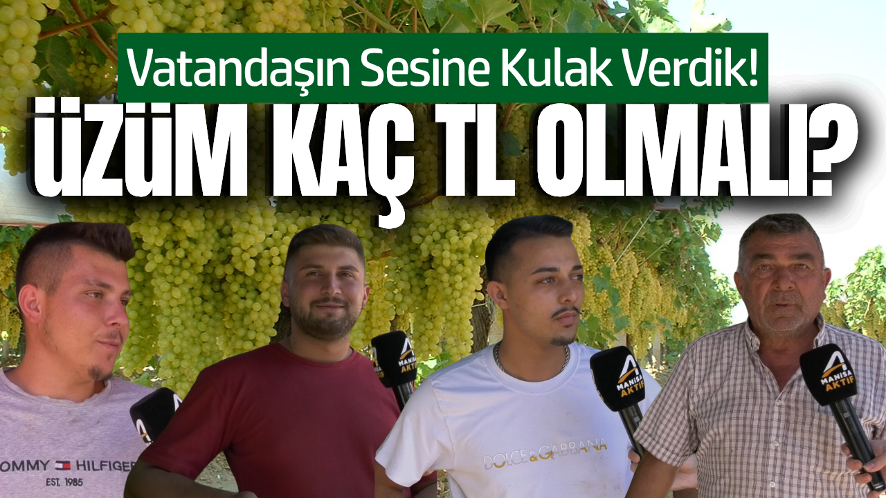 Sofralık üzüm, ıskarta üzüm, kuru üzüm: Üreticinin beklentisi ne?