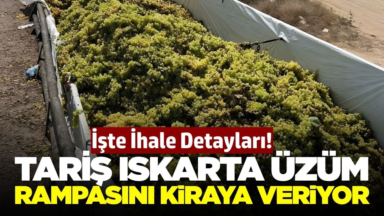 TARİŞ, Alaşehir'deki ıskartalık yaş üzüm alım rampasını kiraya verecek