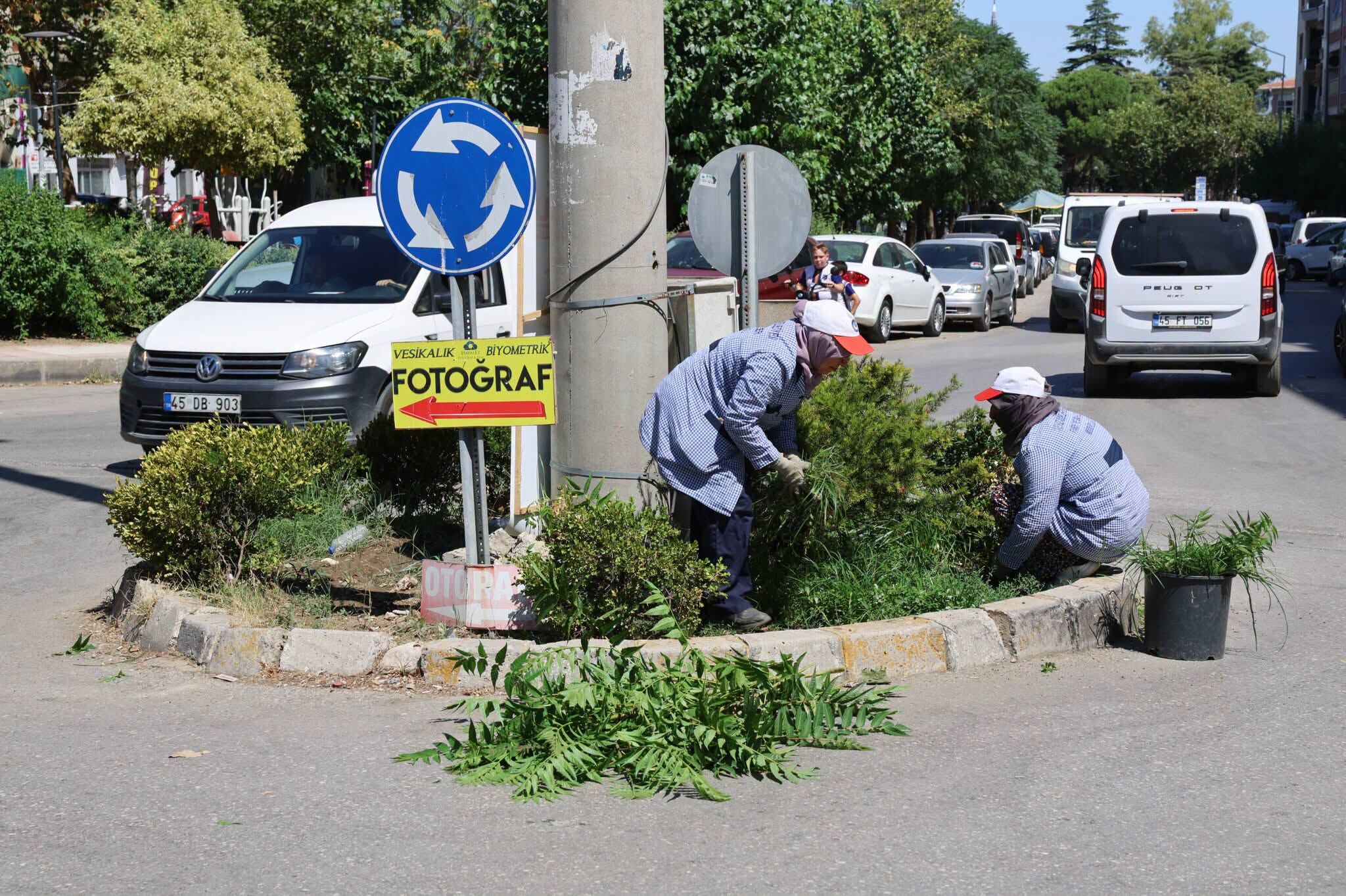 Manisa'da kamusal alanlarda ot biçme mesaisi sürüyor-.1