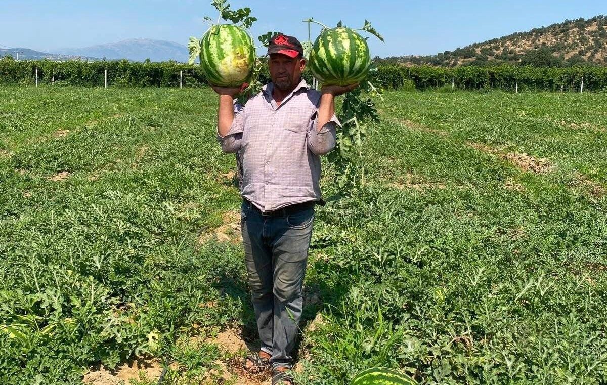 Sarıgöllü üretici pazara indi! Üreticiden tüketiciye aracısız satış-.3.1
