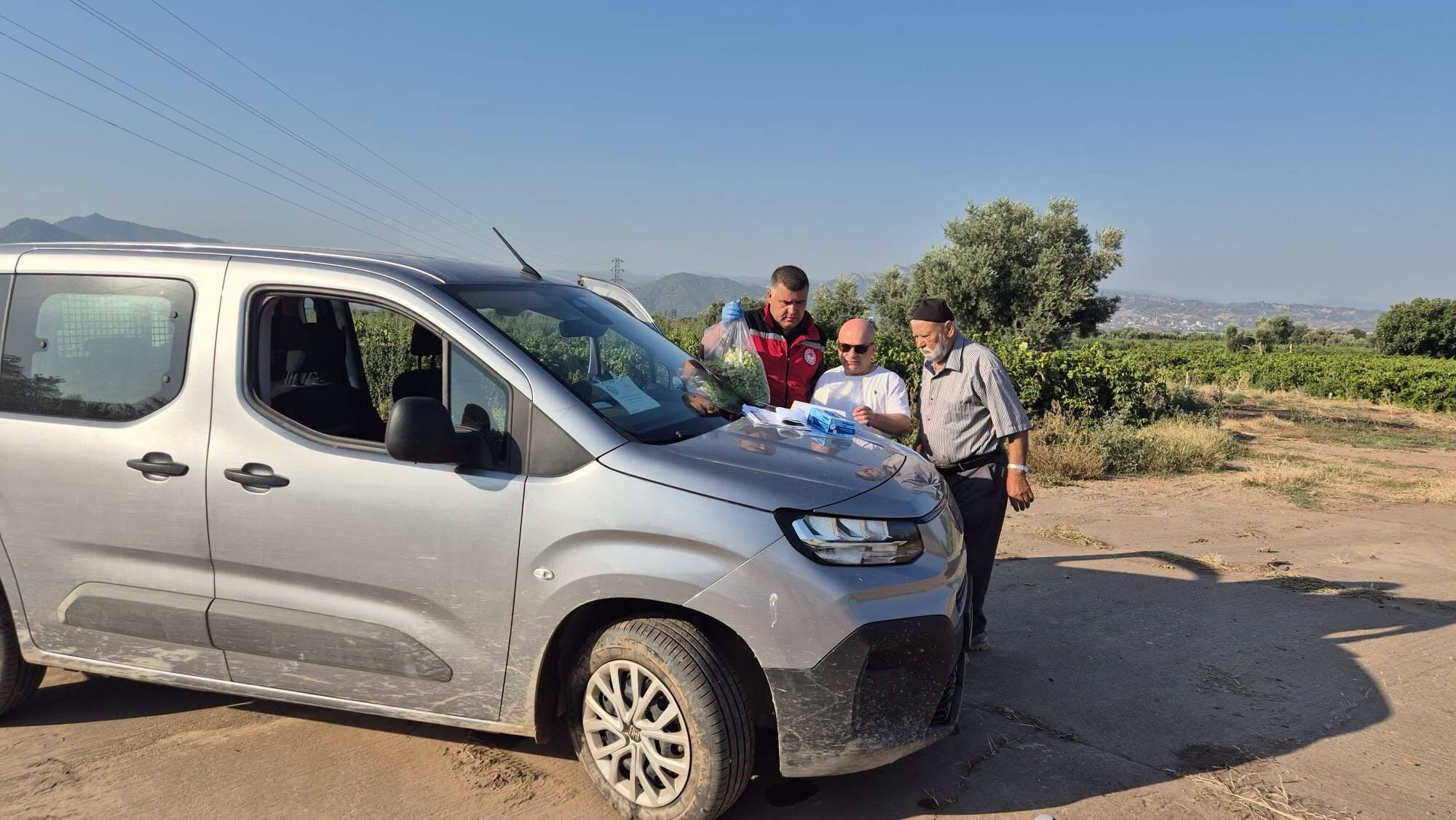 Manisa'da üzüm bağlarında hasat öncesi pestisit denetimleri hızlandı-.1