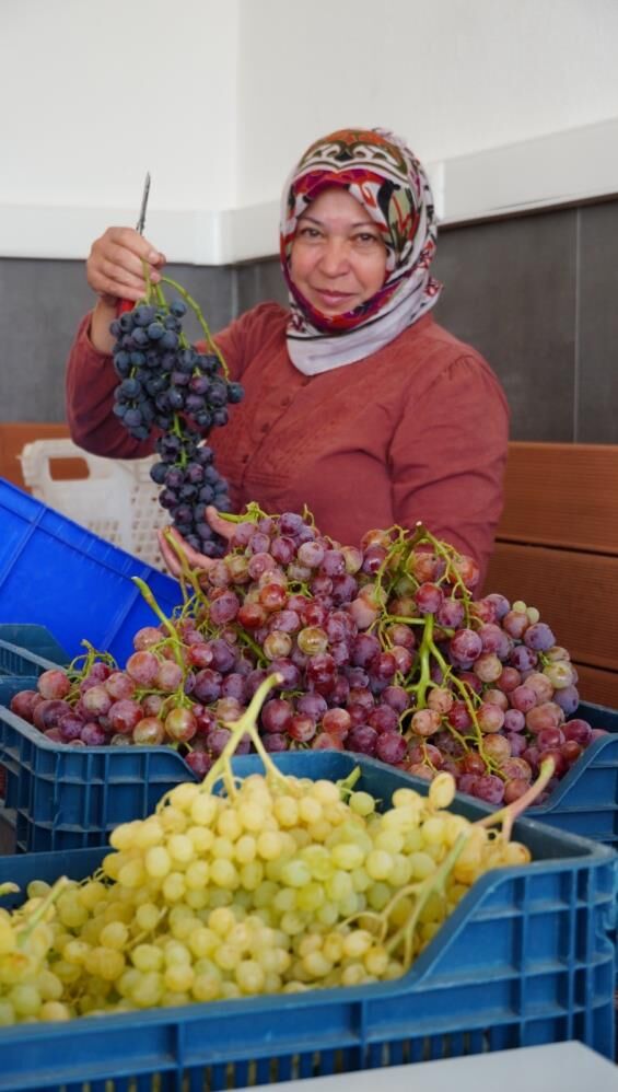 Manisa’da