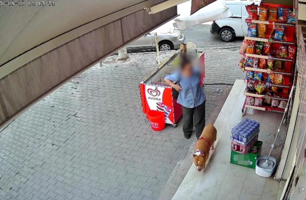 İzmir'de pitbull saldırısına uğrayan kadının parmağı koptu