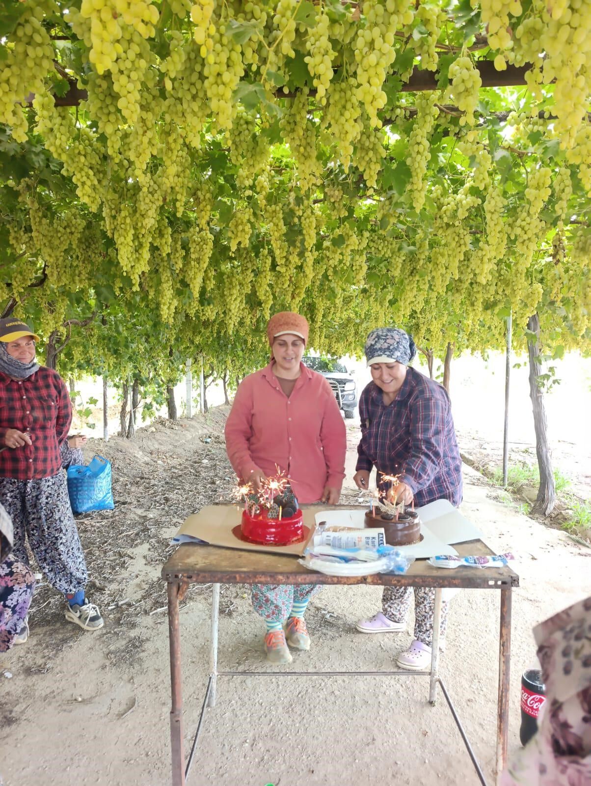 Sarıgöl’de üzüm bağında doğum günü sürprizi-.1.3