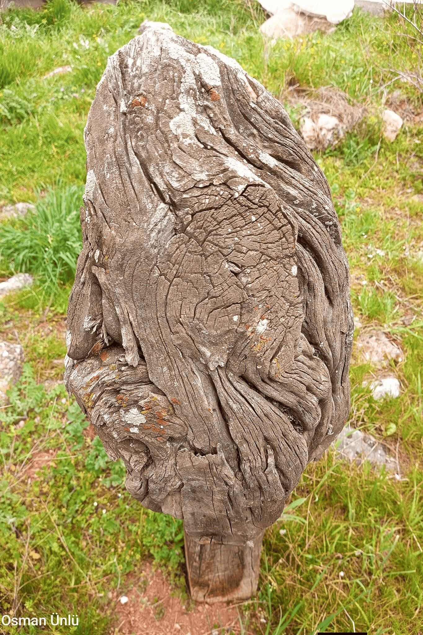 Ardıç Ağacından Mezar Başlıkları (4)
