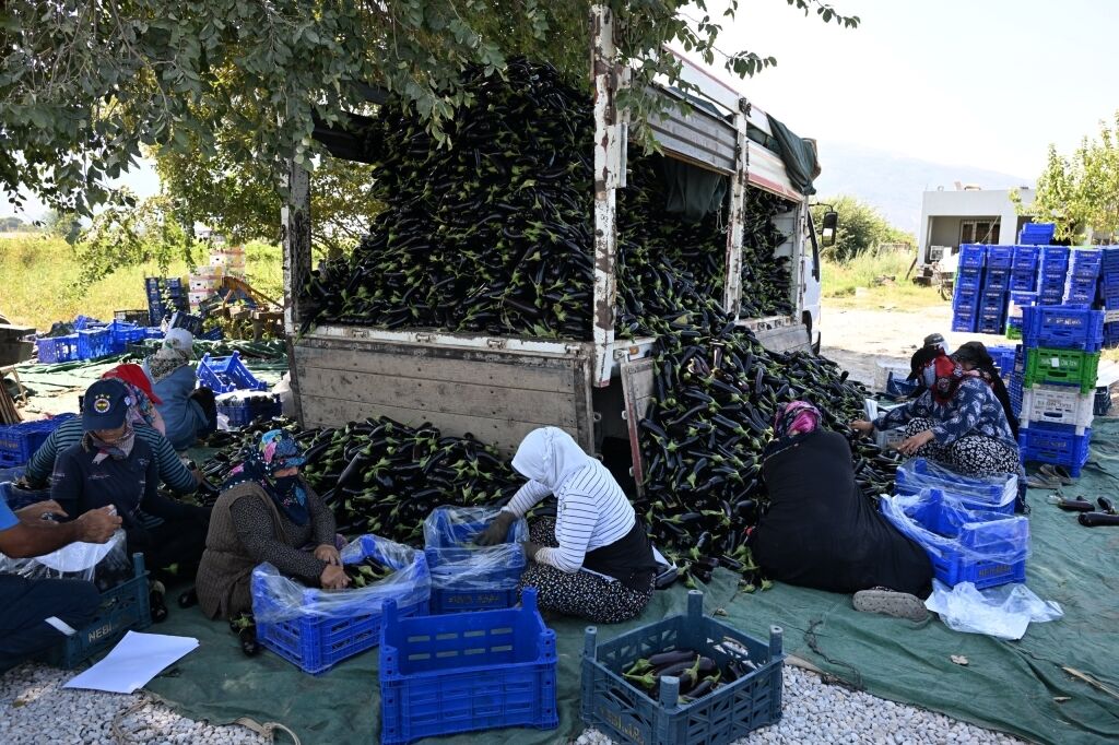 Manisa Büyükşehir’den Sel Mağduru Çiftçiye Can Suyu! (2)