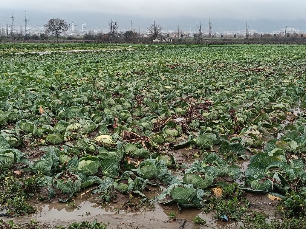 Manisa Büyükşehir’den Sel Mağduru Çiftçiye Can Suyu! (3)