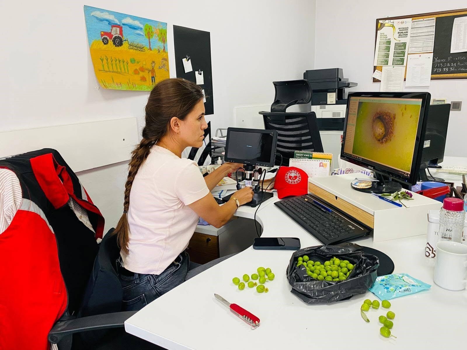 Manisa'da Üreticilere Uyarı Bu Tarihlere Dikkat! (4)