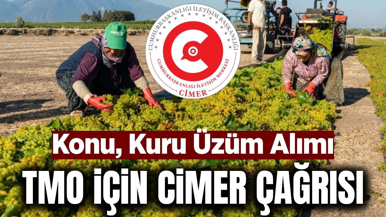Manisa’da üzüm üreticisinin gözü TMO’da: Sektörden CİMER çağrısı