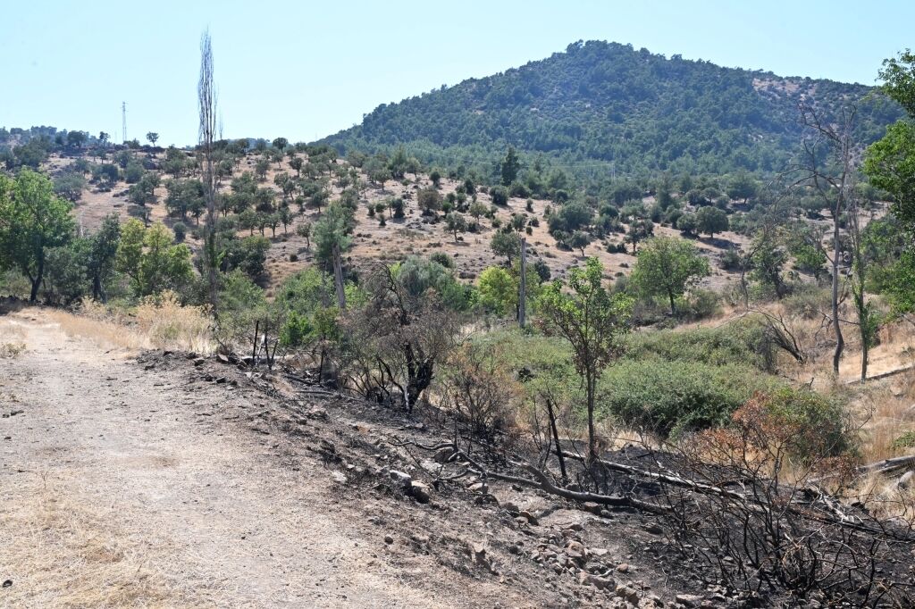 Manisa'da Yangın Tankeri Büyük Bir Felaketi Önledi! (2)