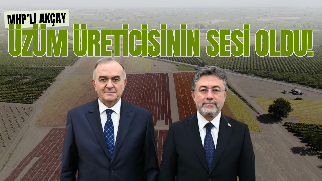 Manisalı üzüm üreticilerinin talepleri Ankara gündeminde!