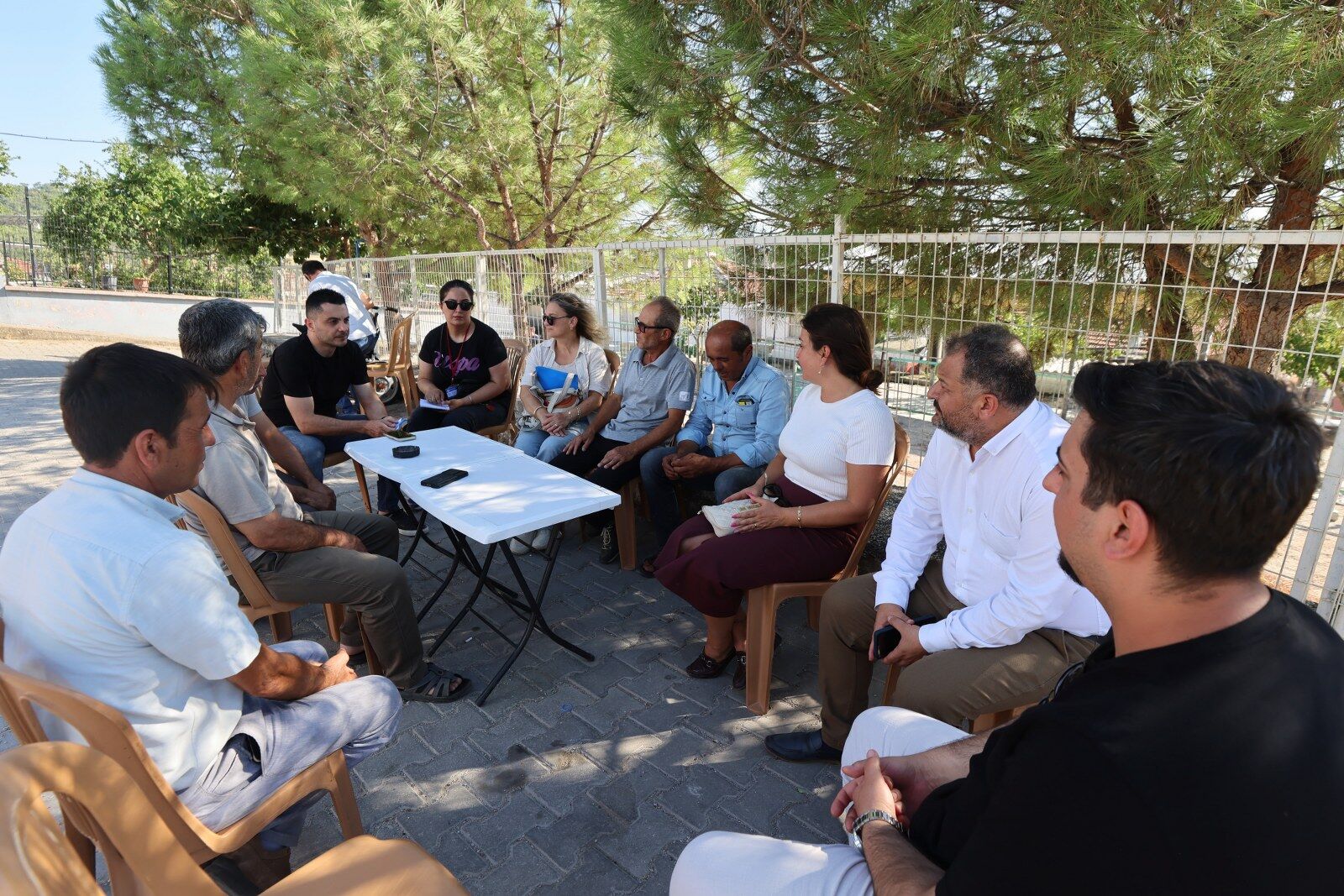 Manis'da Hasat Coşkusu Başlıyor Fıstık Şenliği Için Geri Sayım! (3)