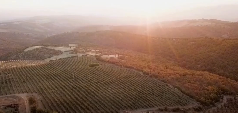 Manşsa İl Tarim