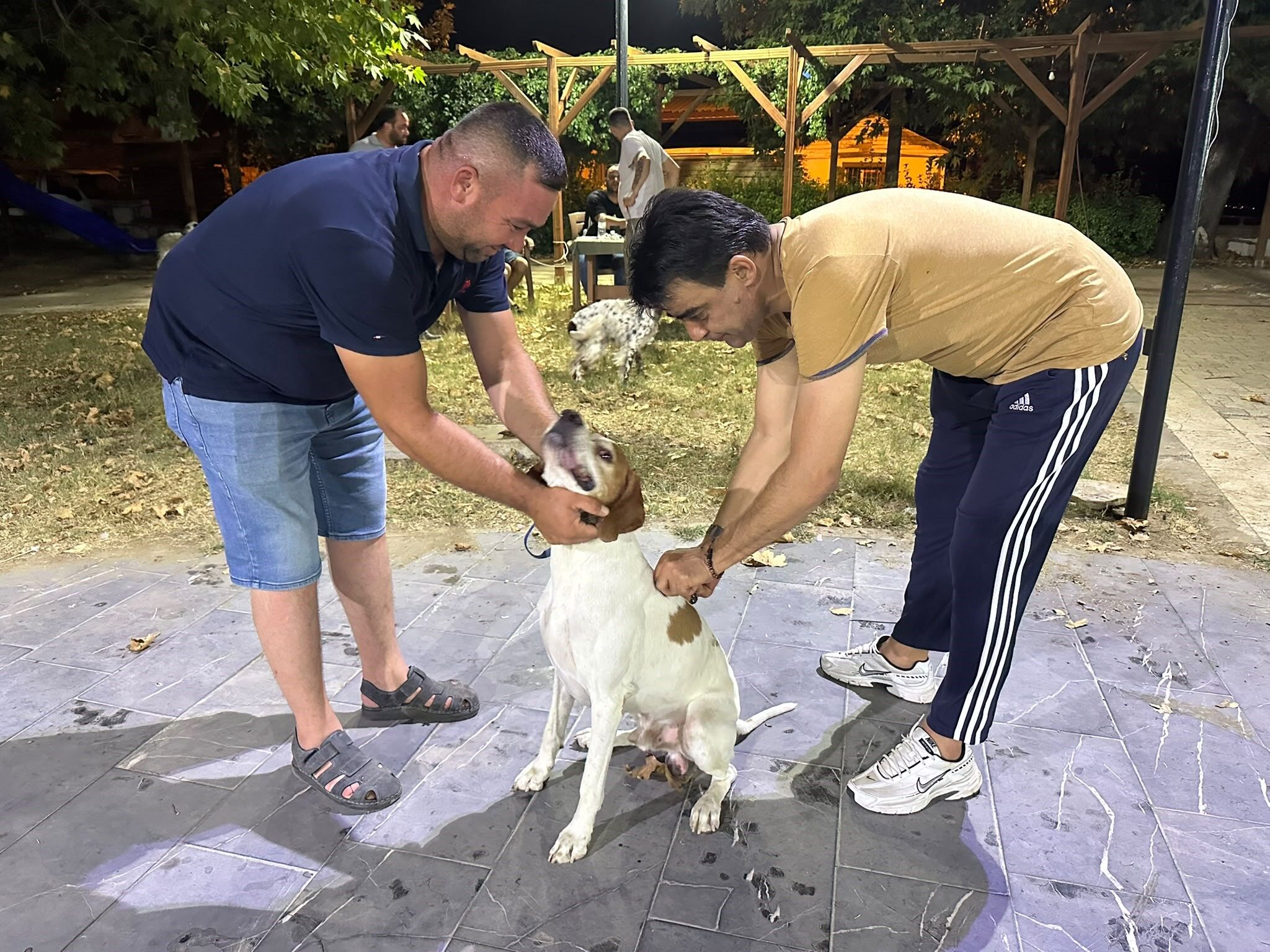 Sarıgöl'de Av Köpeklerin (3)