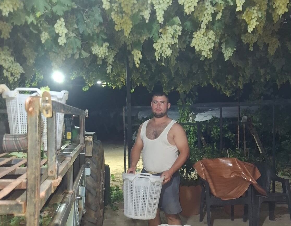 Sarıgöl’de Üzüm Için Gece Mesais (2)