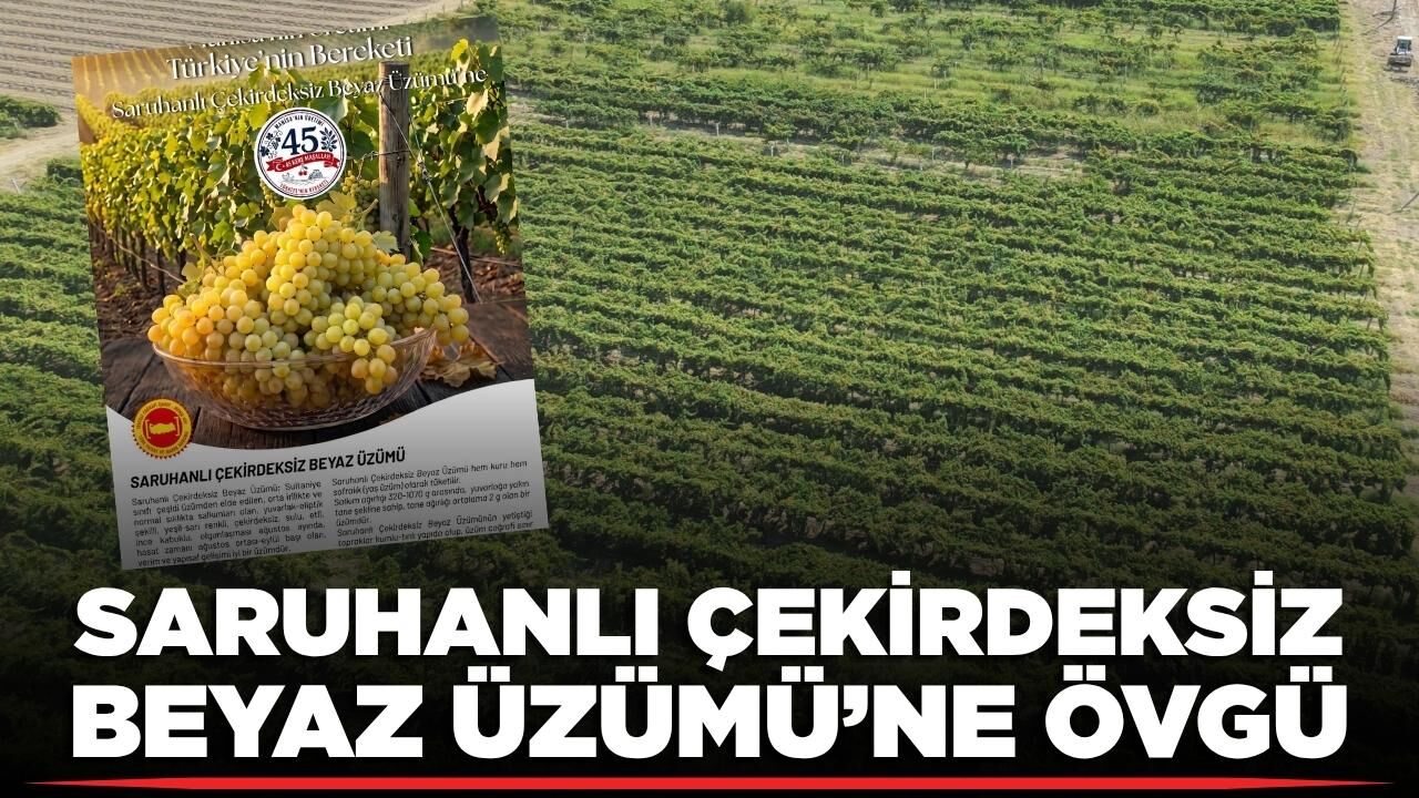 İl Müdürlüğünden Saruhanlı Çekirdeksiz Beyaz Üzümü’ne övgü