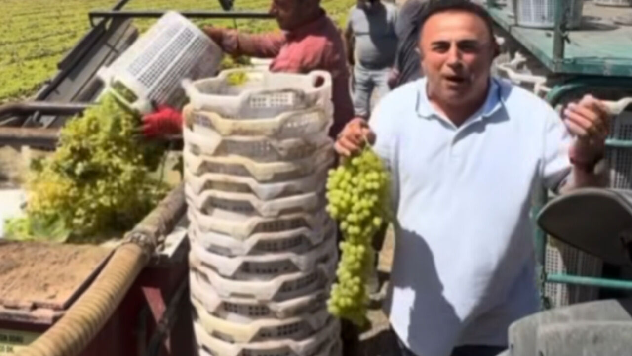 Üzüm Fiyatı Yükselmeli (2)