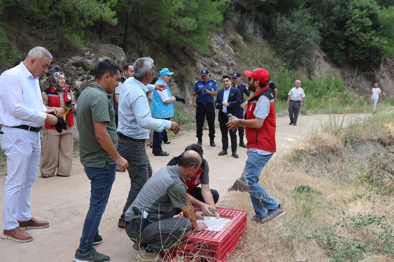 Ahmetli’de Doğaya Keklik Bırakıldı: Biyolojik Dengeye Anlamlı Destek-.3.4