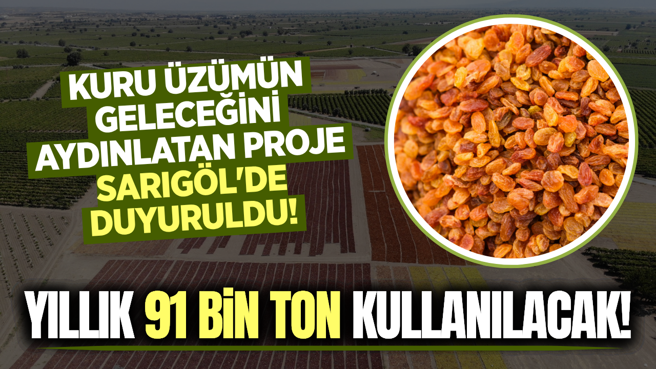 Sarıgöl'de Dev Proje: Kuru Üzüm ve Çiftçinin Kaderi Değişebilir!