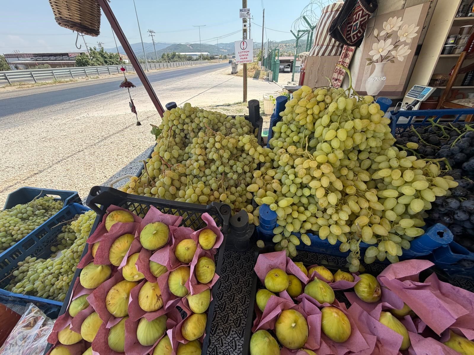 Yol Üzerinde Dalından Sofraya (6)