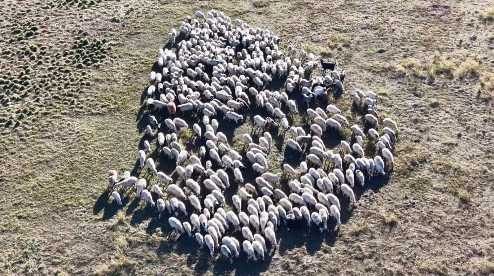Üretici isyan etti: Aylık 150 bin TL'ye çalışan yok!
