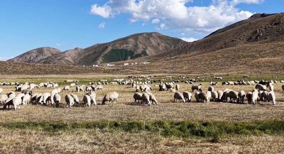 Üretici isyan etti: Aylık 150 bin TL'ye çalışan yok!