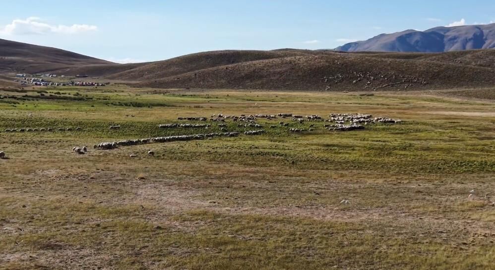 Üretici isyan etti: Aylık 150 bin TL'ye çalışan yok!