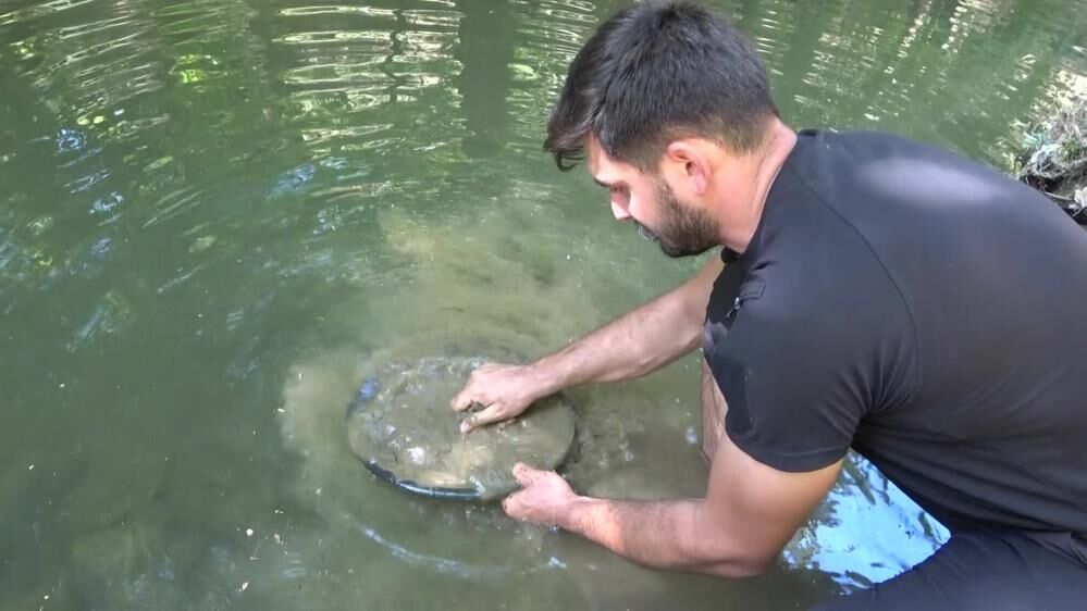 Türkiye’de altın çok arayan yok: Derelerde her gün 5 gram altın çıkarıyorlar