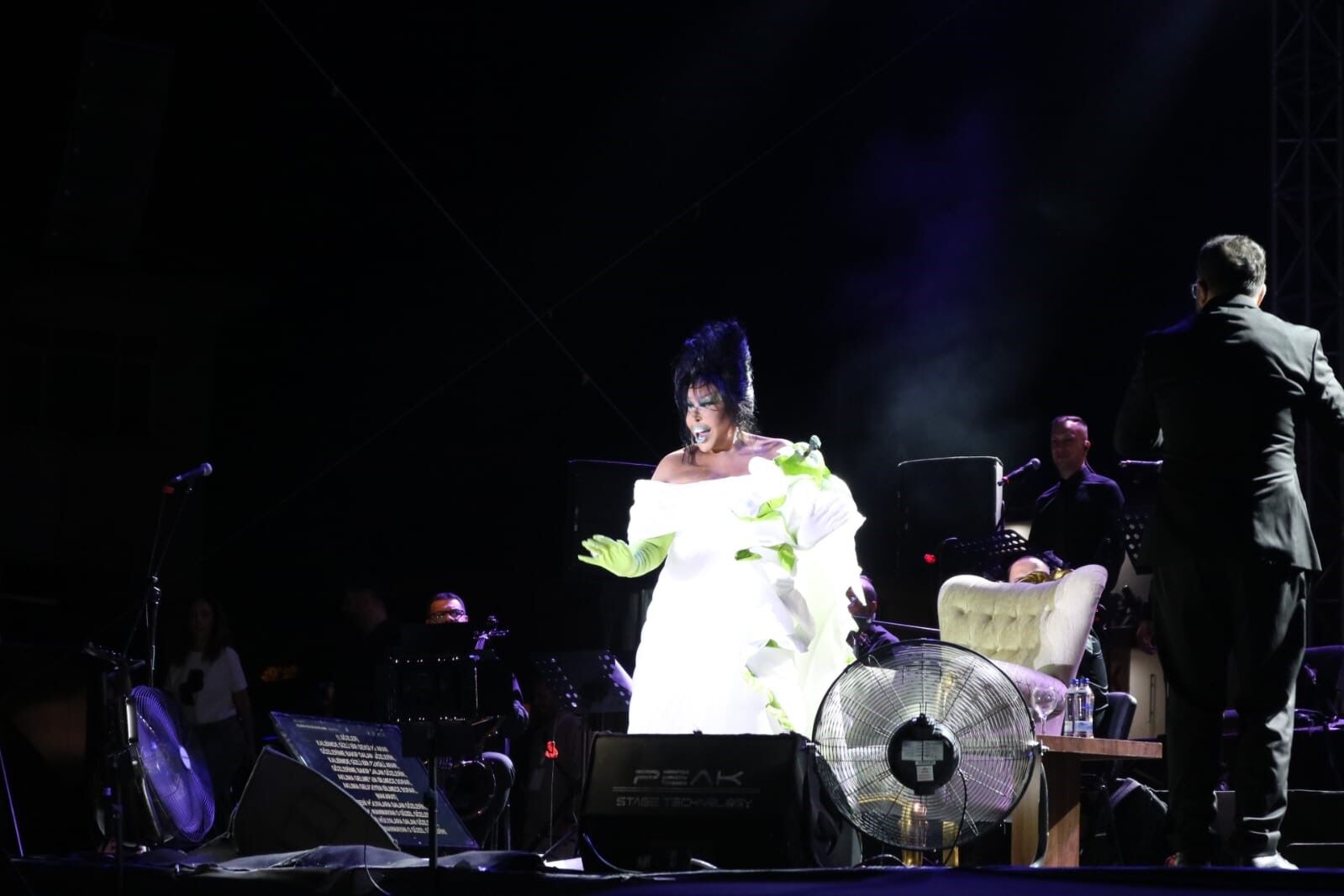 Bülent Ersoy, Denizli'de 50 bin kişiye unutulmaz bir gece yaşattı-.1-.1