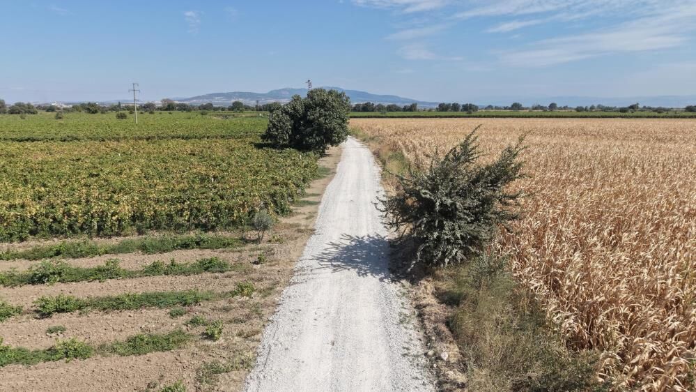 Manisa'da çiftçinin yüzünü güldüren çalışma!