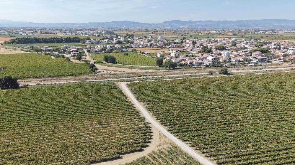 Manisa'da çiftçinin yüzünü güldüren çalışma!-1