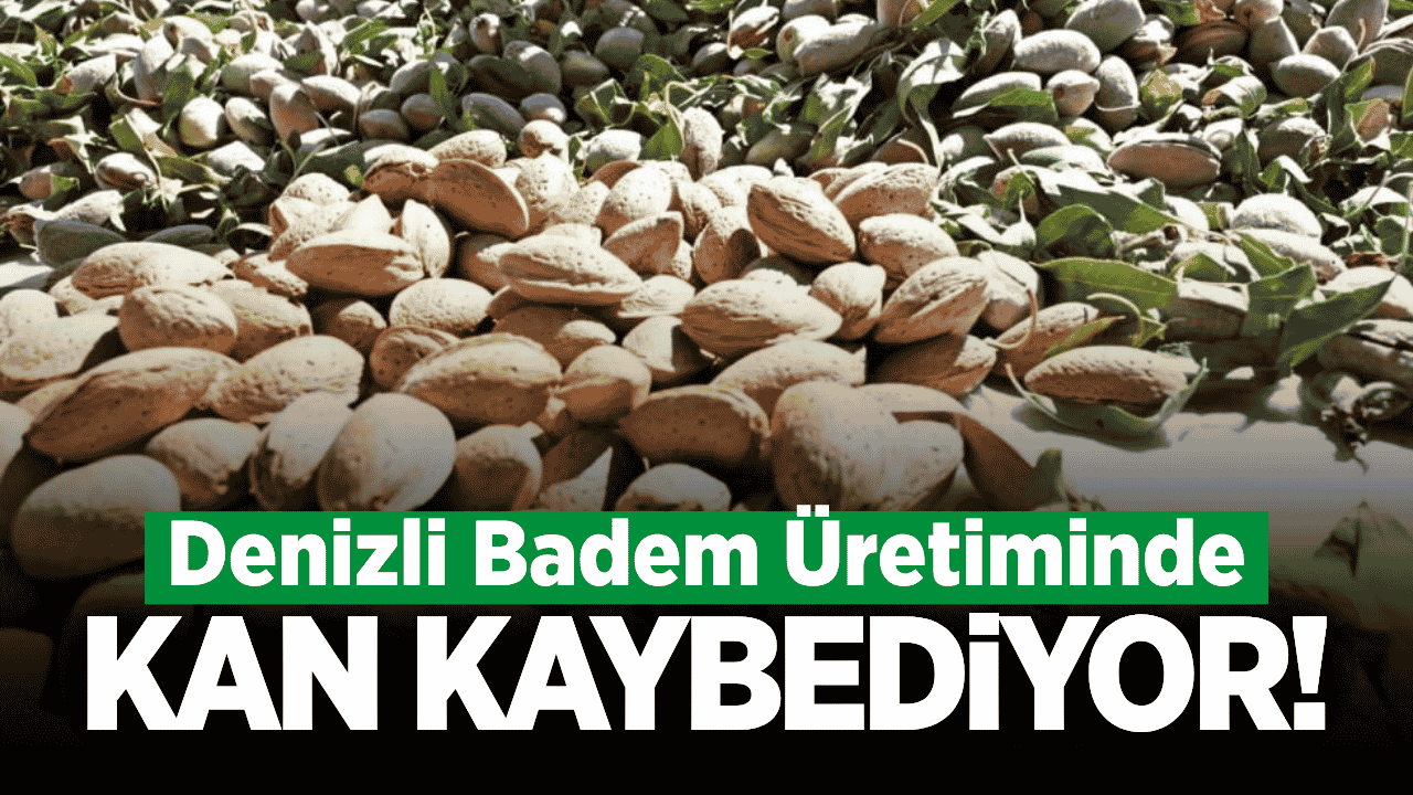 Denizli'de badem üretiminde dikkat çeken düşüş!
