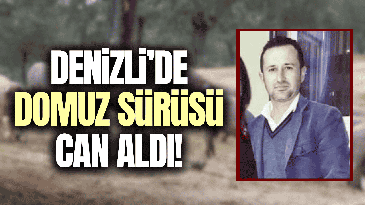 Motosikletiyle domuz sürüsüne çarptı, hayatını kaybetti